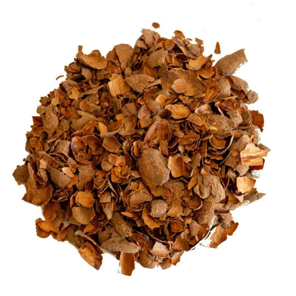Infusion de Cacao
