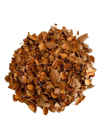 Infusion de Cacao