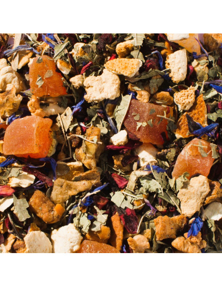 Infusion glacée - Saveur Fruitée - Été Glacé