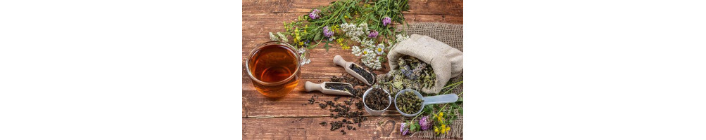 Tisanes Naturelles en Vrac - Camomille, Verveine, Thym, Tilleul, Menthe, ... | Vertcitron