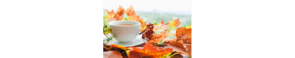 Thés d’automne et infusions gourmandes | Vertcitron